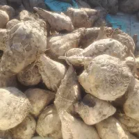 استاد کار  مجری طرح بارانی نیاز مندیم