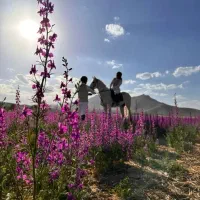 سوارکاری و عکاسی با عکس در بکر ترین طبیعت