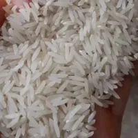 برنج فجر سوزنی 95روزه