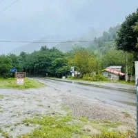 یه زمین تجاری مسکونی پلاک یک جنگل بر اسفالت