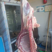 قصاب سیار ماهر