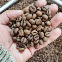 دان قهوه ، ویتنام ، اوگاندا ، برزیل ،کلمبیا|عمده‌فروشی|تهران, بازار|دیوار