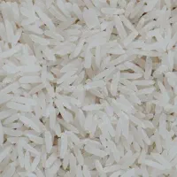 برنج شمال . طارم ، شیرودی
