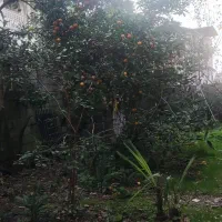 امور باغبانی