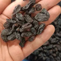 انواع آجیل و خشکبار و چای و شکلات|خوردنی و آشامیدنی|اصفهان, شاه پسند|دیوار
