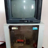 تلویزیون