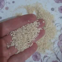 انواع برنج از ۱۶۰ به بالا برای خانوار عزیز