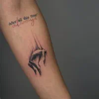 تتو بدن|خدمات آرایشگری و زیبایی|شیراز, بعثت|دیوار