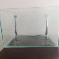 اکواریوم