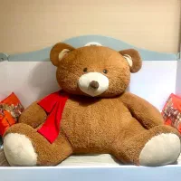 خرس خیلی بزرگ خارجی