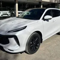 معاوضه دنا 207 با لاماری خشک