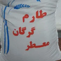 برنج طارم گرگان