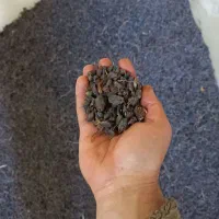 کشمش افتابی بواناتی|خوردنی و آشامیدنی|خرم بید, |دیوار