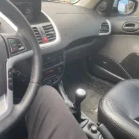 ۲۰۷ پانا خشک