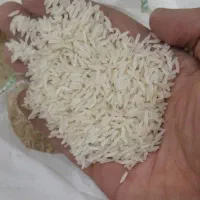 برنج فجر خوشپخت