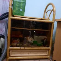 زیر تلوزیونی