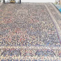 قالی در حدت نو