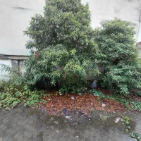 زمین-نسقی-باغی-224-متری-عرفان-کویخ