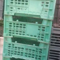 سبدمیوه