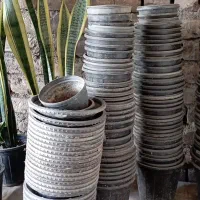 گل و گلدان پلاستیکی سیاه ۷۰۰ عدد