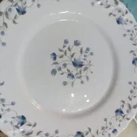 بشقاب آرکوپال نو