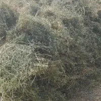 یونجه۳۳۰۰۰