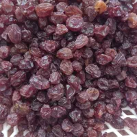 کشمش عالی ودرجه یک