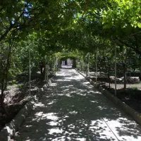 اجاره-باغ-ویلا