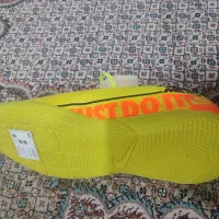 کفش نایک سالن|کیف، کفش، کمربند|شیراز, پودنک|دیوار