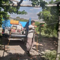 سم پاشی وهرس انواع درخت سامان طرح عمان