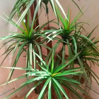 درختچه مصنوعی