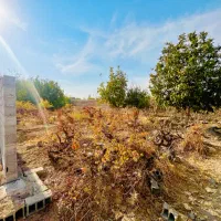 باغچه300متری-سندتکبرگ-دیوارگلی-بااصالت-قدیمی-دهشاد