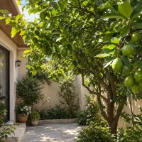 فروش-ویلایی-330متری-خیابان-معلم-چندقدمی-خیابان