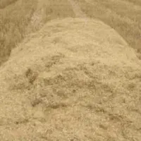 کاه