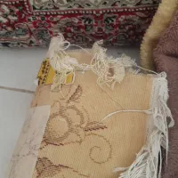 فرش ۱۲متری گل برجسته|فرش|قدس, شهر‌قدس|دیوار