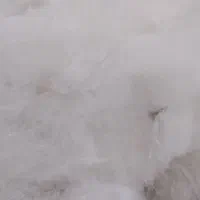 الیاف