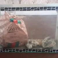 اکواریوم تمیز حرفه ای|ماهی|خرم‌آباد, |دیوار