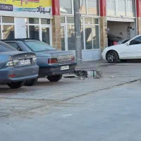 مغازه در شهرک خودرو ۹۸متری نزدیک فلکه اصلی|اجارهٔ مغازه و غرفه|قم, نخودی|دیوار