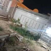 باغبانی ونضافت چی
