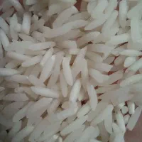 ۳۵۰ کیلو برنج شیرودی درجه یک