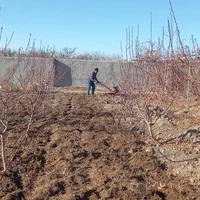 خدمات باغبانی در منطقه صوفیان و شبستر|خدمات باغبانی و درختکاری|تبریز, |دیوار