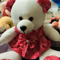 فروش عروسک|اسباب‌‌بازی|نیشابور, دارایی|دیوار