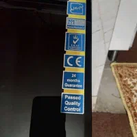 هود ایلیا استیل