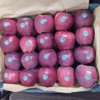 ۲۲۰کیلو سیب قرمز درجه یک به قیمت هرکیلو ۸۰هزار