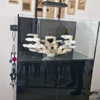 ساخت و نصب آکواریوم های حرفه ای|ماهی|کرج, مهرویلا جنوبی|دیوار