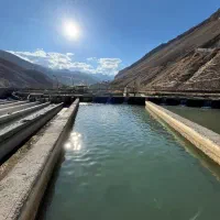 فروش پرورش ماهی با بهترین آب. هوا و لوکیشن|فروش دفتر صنعتی، کشاورزی، تجاری|رینه, |دیوار