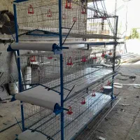 فروش قفس منبری و اتوماتیک