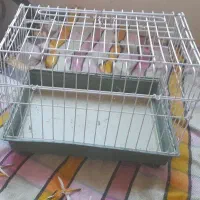 قفس خرگوش وهمستر وخوکچه هندی