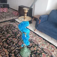 قلیان|کافی‌شاپ و رستوران|نورآباد, |دیوار