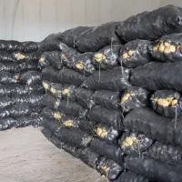 فروش سیب‌زمینی